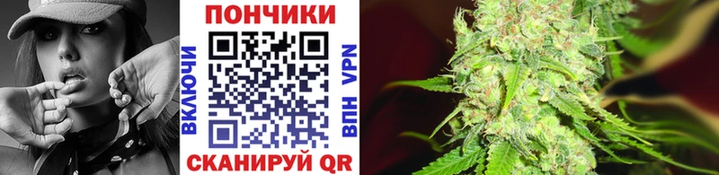 хочу Нефтегорск Бошки марихуана VHQ